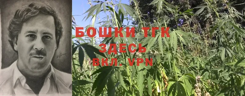 где можно купить наркотик  Кондопога  МАРИХУАНА SATIVA & INDICA 